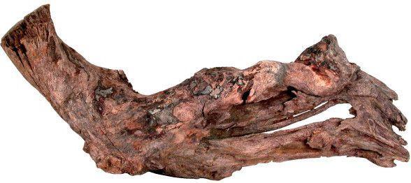 Produktbild Zolux Mangrove Root 15-25 cm (sonstige Gegenstände)