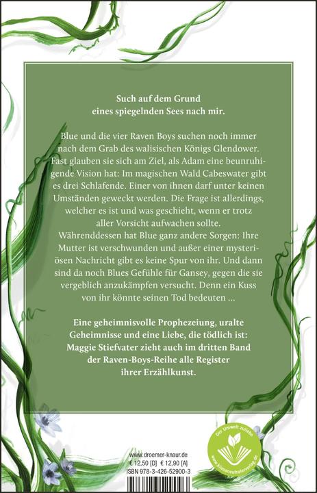 Produktbild Was die Spiegel wissen (Deutsch, Jessika Komina, Sandra Knuffinke, Maggie Stiefvater, 2022)