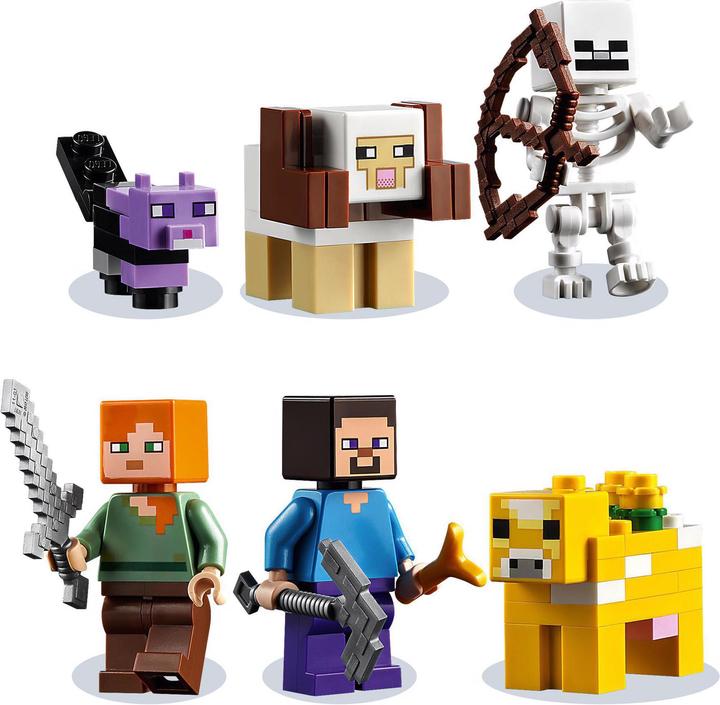 Actual product image LEGO The first adventure (21169, LEGO Minecraft)