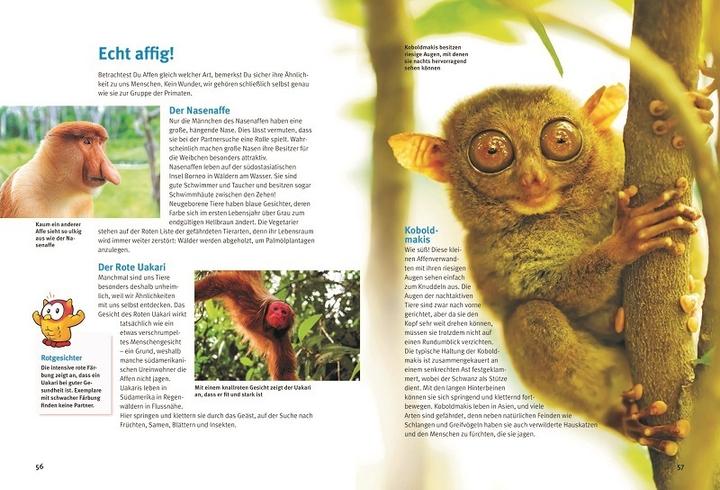 Produktbild Entdecke die skurrilsten Tiere der Welt (Deutsch, Leonie Proscurcin, 2023)