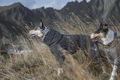 Actual product image Hurtta Extreme (50, Dog coat)