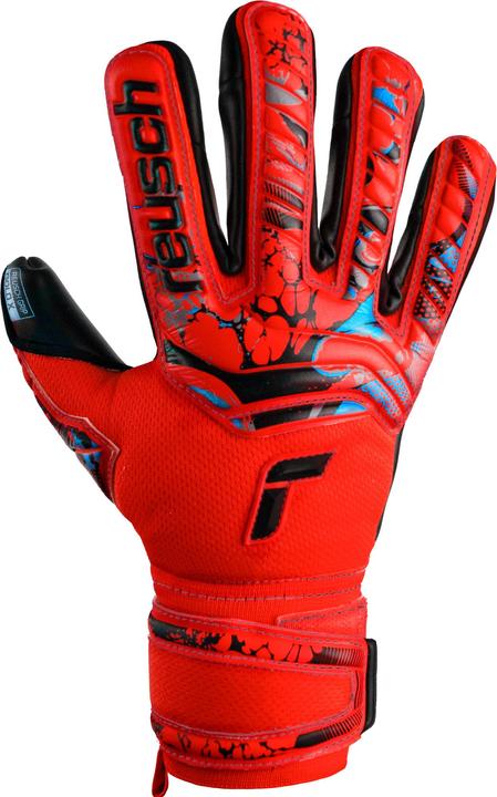 Produktbild Reusch Attrakt Gold X (5.5)