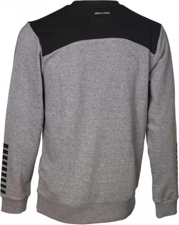 Actual product image Select Sweatshirt Oxford v22 (L)