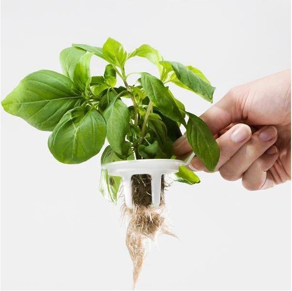 Image du produit Plantui Jardin intelligent (29 cm)
