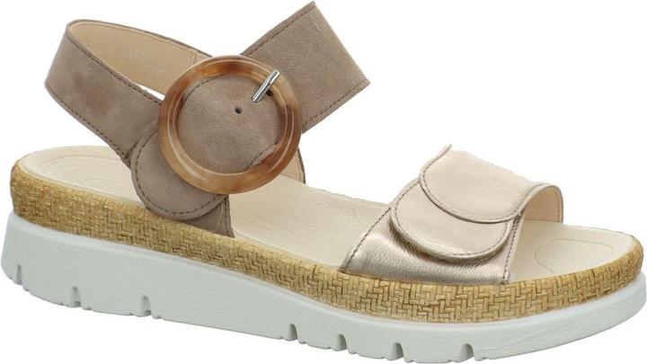 Puderrabbit, Beige