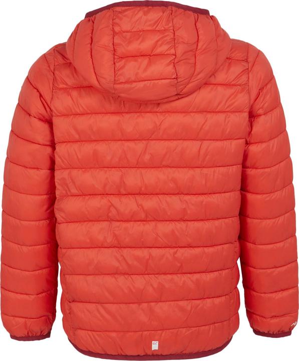 Actual product image Regatta Childrens/Kids Marizion Hooded Padded Jacket (158)