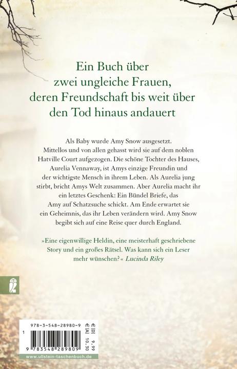 Image du produit Die Reise der Amy Snow (Allemand, Tracy Rees, 2017)