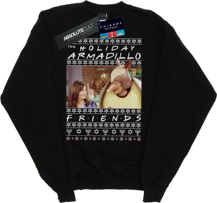 Actual product image Friends Boys Fair Isle Holiday Armadillo Sweatshirt (140, 146)