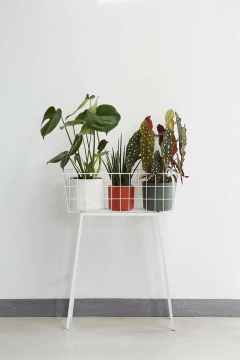 Actual product image Elho b.for soft (18.30 cm)