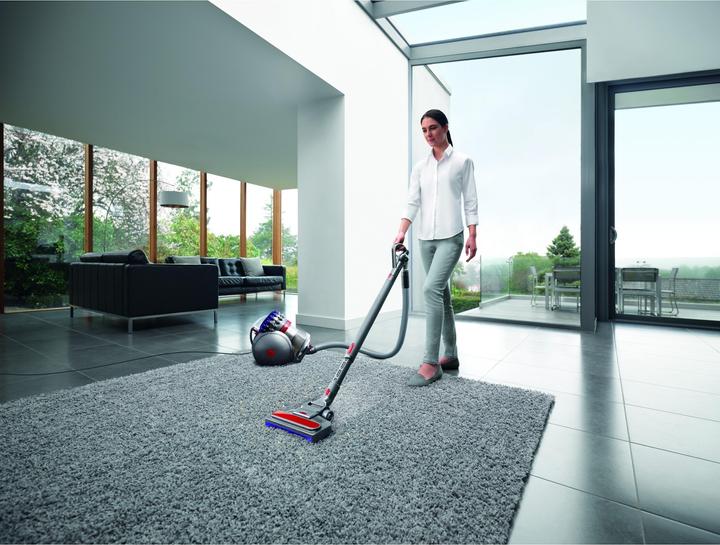 Actual product image Dyson Big Ball Parquet 2