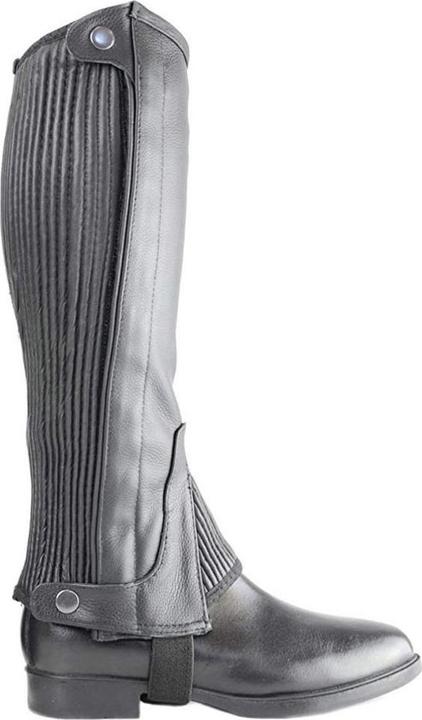 Image du produit Hy Land Demi-chaps en cuir adultes (L)