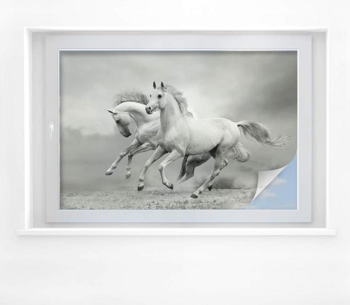 Actual product image Trenddeko Horses at a gallop (100 x 70 cm)