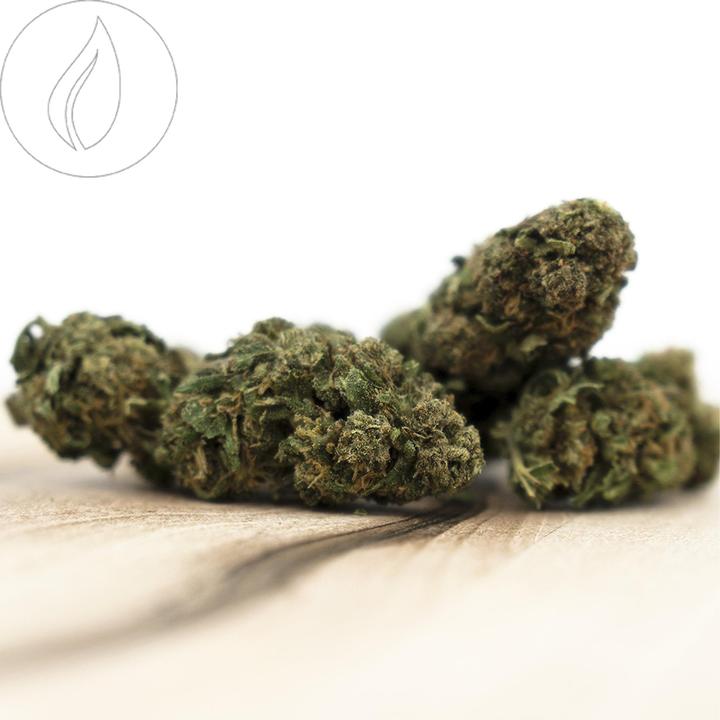 Immagine prodotto Herba di Berna Orangello (45 g, Esterno)
