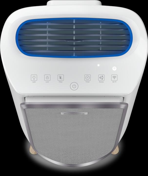 Actual product image Rowenta Intense Pure Air (36 m²)