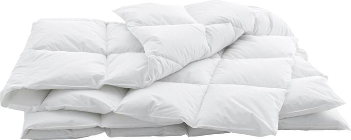 Image du produit Swiss Dream by billerbeck Support de cassette (810 g, 200 x 210 cm)