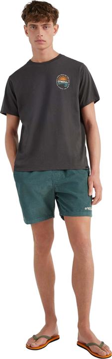 Actual product image O'Neill short camorro cord (XL)