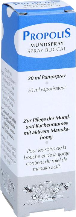 Remmele Mundspray mit aktiven Manukahonig (20 ml, Mundspray)