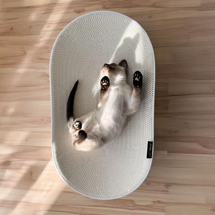 Produktbild LucyBalu SCRATCHBED Kartonbett (Katze)