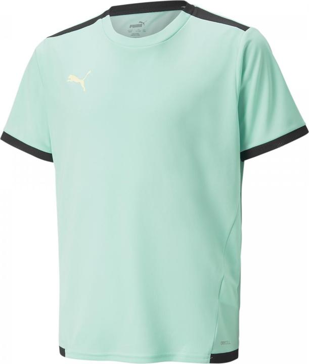 Image du produit Puma Maillot teamLIGA Jr-704925 (152)