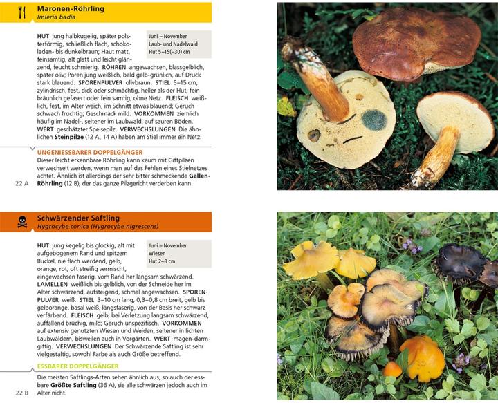 Produktbild Kosmos Essbare Pilze und ihre giftigen Doppelgänger (Deutsch, Hans E. Laux, Andreas Gminder, 2022)