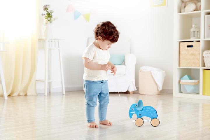Actual product image Hape Pull-along elephant