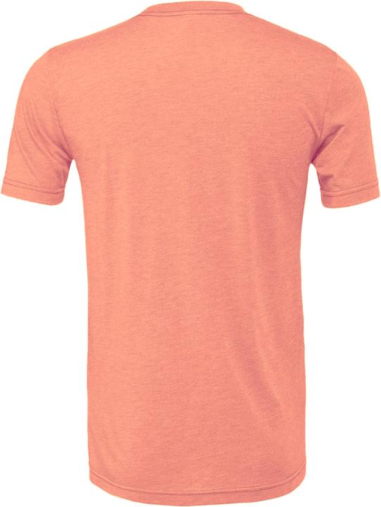 Actual product image Bella Canvas Cvc Tshirt Adult (S)
