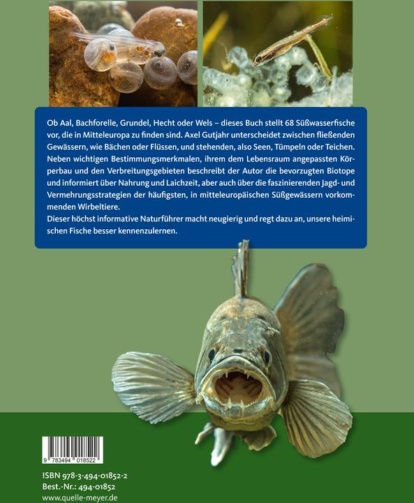 Produktbild Die Süsswasserfische Mitteleuropas (Deutsch, Axel Gutjahr, 2021)