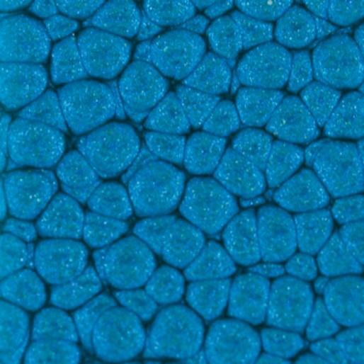 Actual product image Pebeo Fantasy Prisme (Caribbean blue, 45 ml)
