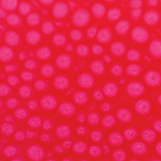 Image du produit Pebeo Fantasy Prisme (Rose néon, 45 ml)