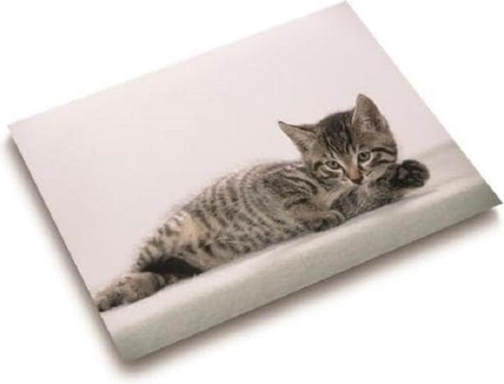 Immagine prodotto Läufer Motivo 40x53 gatto grigio (53 x 40 cm)