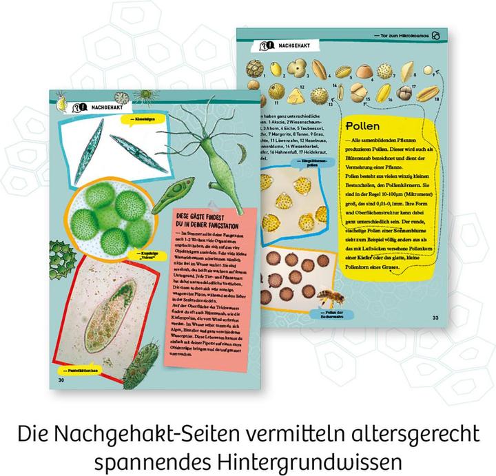 Productafbeelding Kosmos Discoverer microscoop