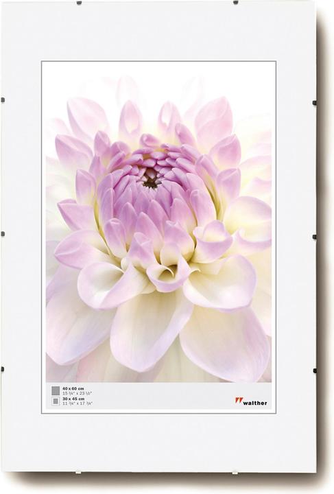 Image du produit Walther Design Porte-photos sans cadre (30 x 45 cm)