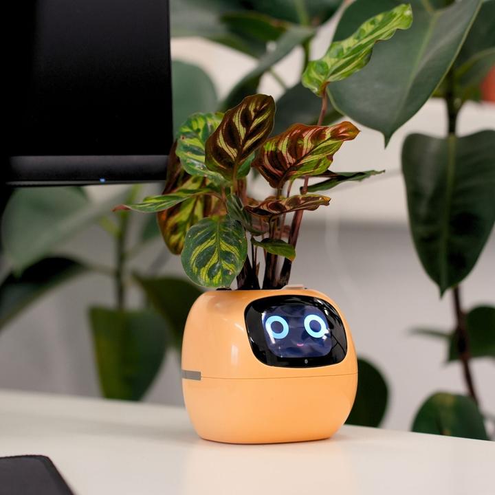 Actual product image Hermex Electronic flower pot Smart flower pot (11 cm)