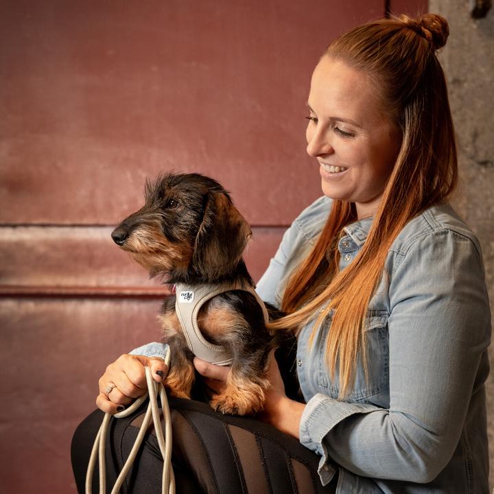 Productafbeelding Curli Harnas Vest Air-Mesh XL, Lichtbruin (XL, Hond, Algemeen)