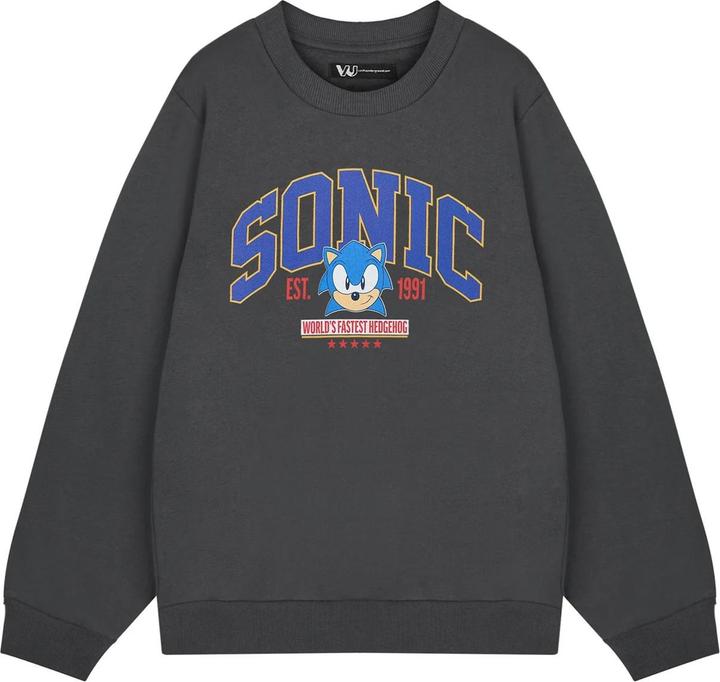 Produktbild Sonic The Hedgehog World's Fastest Sweatshirt (L)