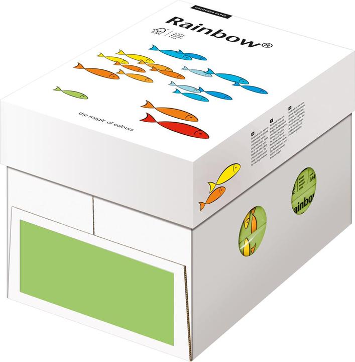 Image du produit Rainbow Papier à copier (80 g/m², 500 x, A4)