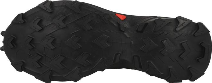 Actual product image Salomon Alphacross 5 GTX - 60355 (40 2/3)