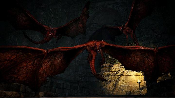 Image du produit Capcom Dragon's Dogma : Dark Arisen -US- (Switch, Switch Lite, Switch OLED, EN)