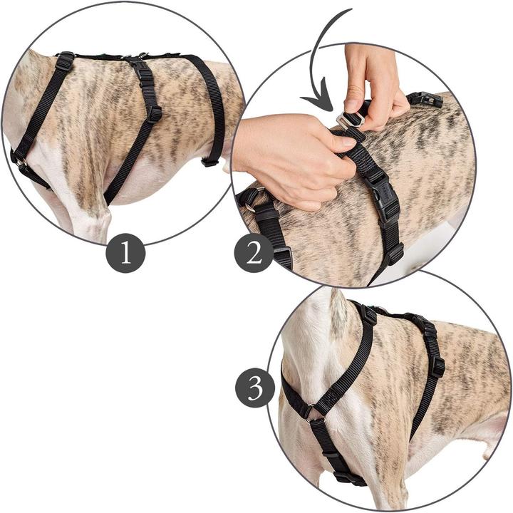 Image du produit Hunter Harnais de sécurité Vario Rapid (M, L, Chien, Général, Promenade)