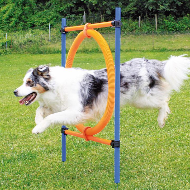 Produktbild Swisspet Sprungring (One Size, Agility)