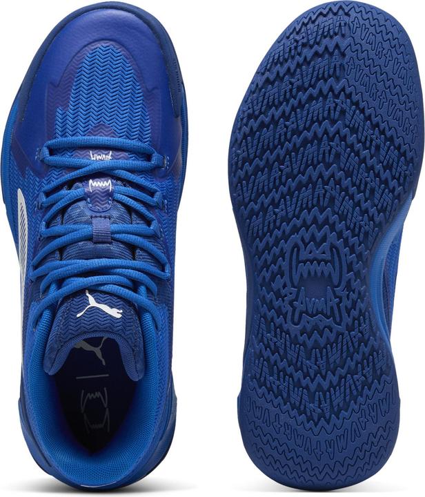 Produktbild Puma Dagger (43)