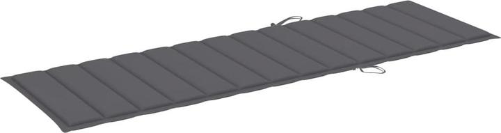 Actual product image VidaXL Hayder (200 x 60 x 3 cm)