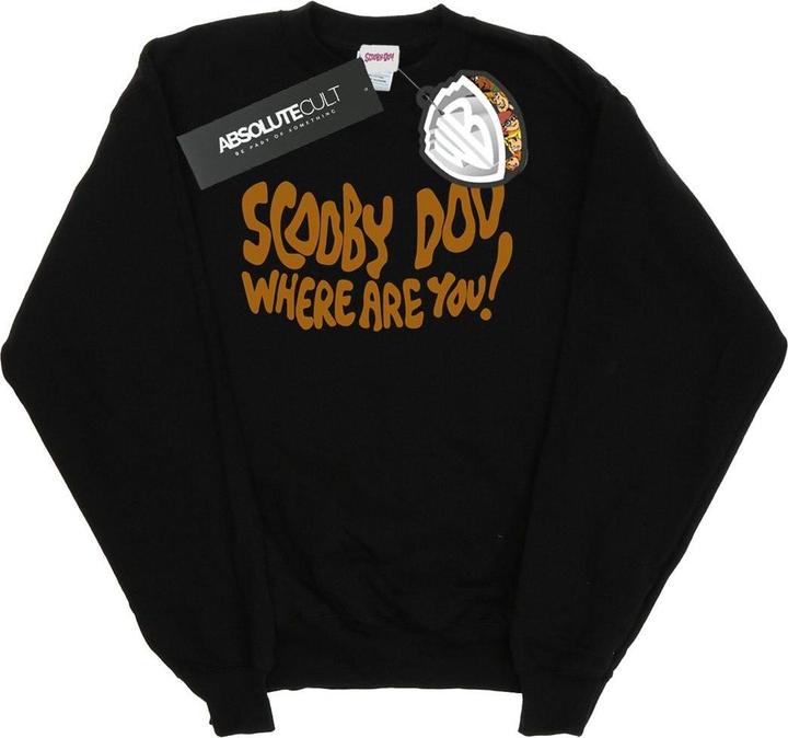 Produktbild Scooby Doo Where Are You Spooky Sweatshirt (L)