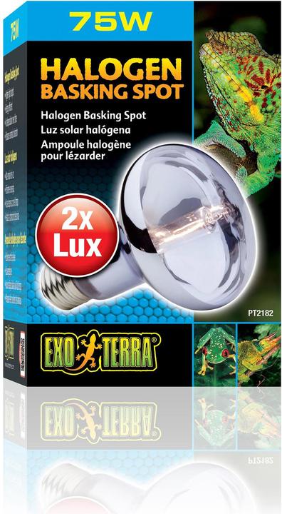 Exo Terra Sun Glo Tageslicht Halogenlampe 75W (UVB, UVA)
