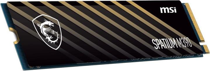 Actual product image MSI Spatium M390 (1000 GB, M.2 2280)