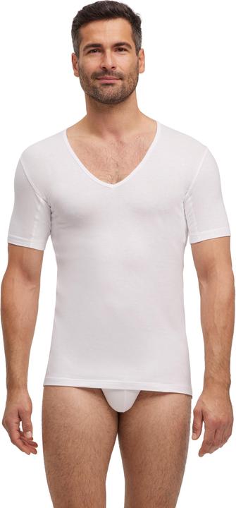 Falke Herren (L)