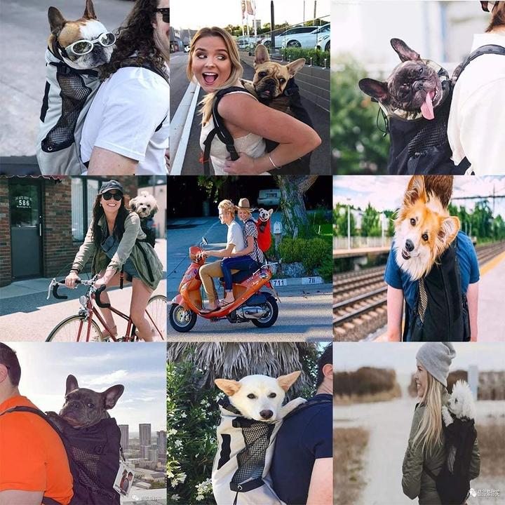 Produktbild Flkennel Hunderucksack (Hund, Atmungsaktiv, Reflektoren)