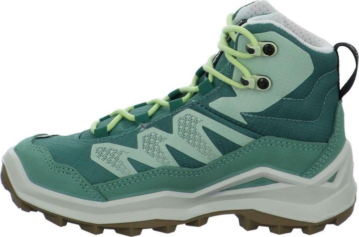 Produktbild Lowa Maddox Pro GTX (31)