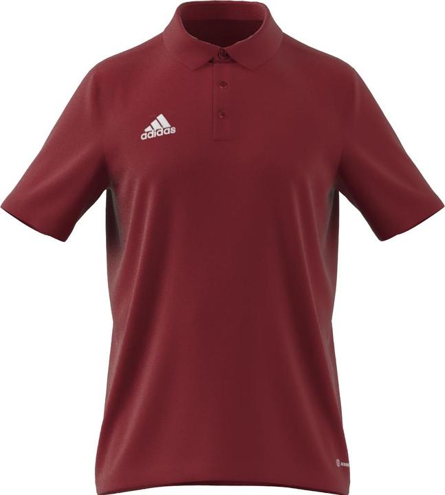 Image du produit adidas Polo Entrada 22 Hommes (XS)