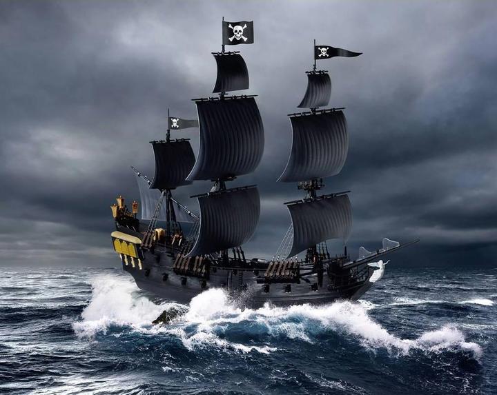 Actual product image Revell Black Pearl